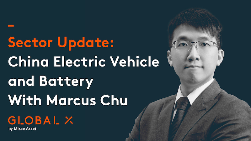 China Electric Vehicle and Battery | Sector Update