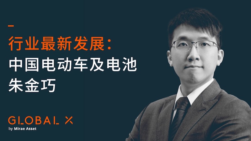 行业最新发展：中国电动车及电池